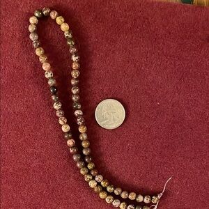 Multi Color Brown Fossil Coral